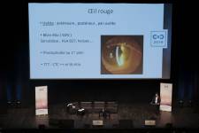 Damien LEMAIRE - DAMIEN LEMAIRE