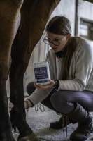 Iliana PATAT - EI BOURIEZ ILIANA