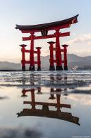 Alexandre BADOT - BADOT ALEXANDRE